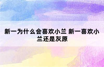 新一为什么会喜欢小兰 新一喜欢小兰还是灰原